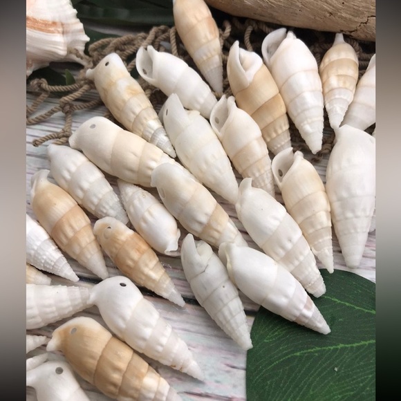 ICICLE SHELLS Cerithium Shells preDrilled HOLES Crafting Jewelry Making DIY Lot - Picture 10 of 13